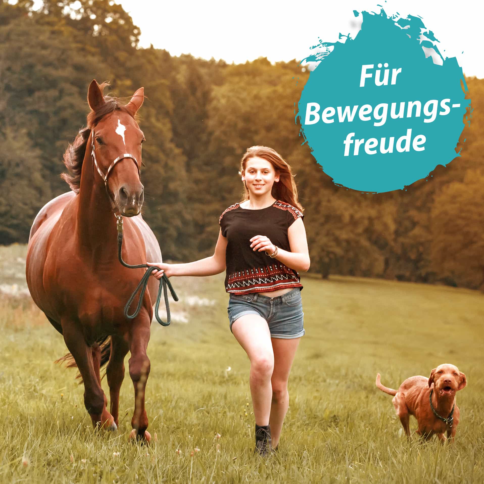 Für Bewegungsfreunde Eine Frau läuft mit einem Pferd und einem Hund über eine Wiese. Daneben ist steht: 'Für Bewegungsfreunde'
