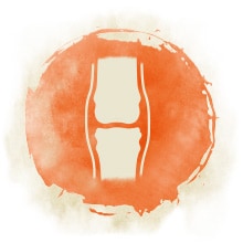 Gelenkfunktion Symbol welches ein Gelenk darstellen soll. Dieses Produkt trägt also zu einer guten Gelenkfunktion bei.
