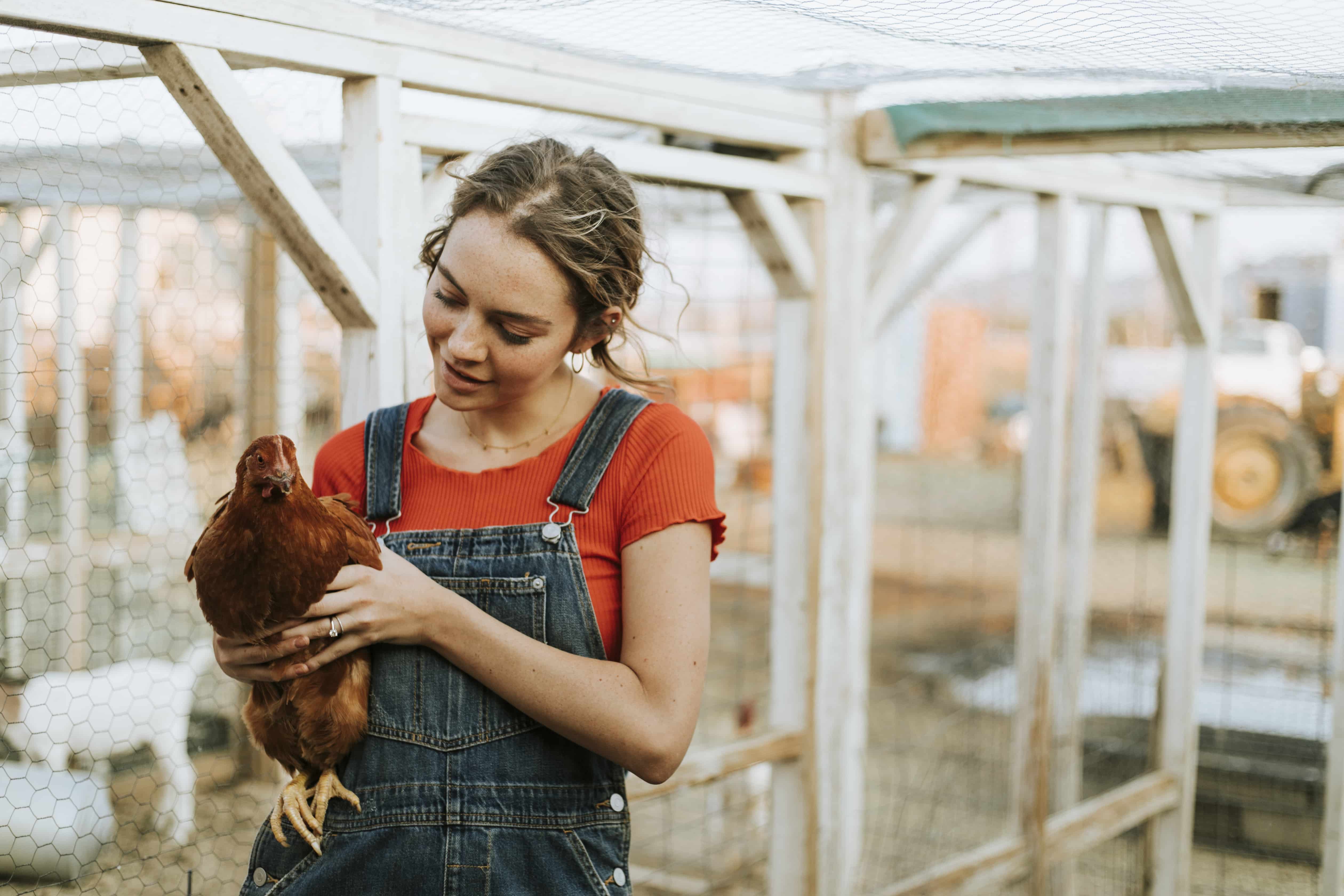 Huhn auf dem Arm Eine Frau hält ein Huhn auf dem Arm