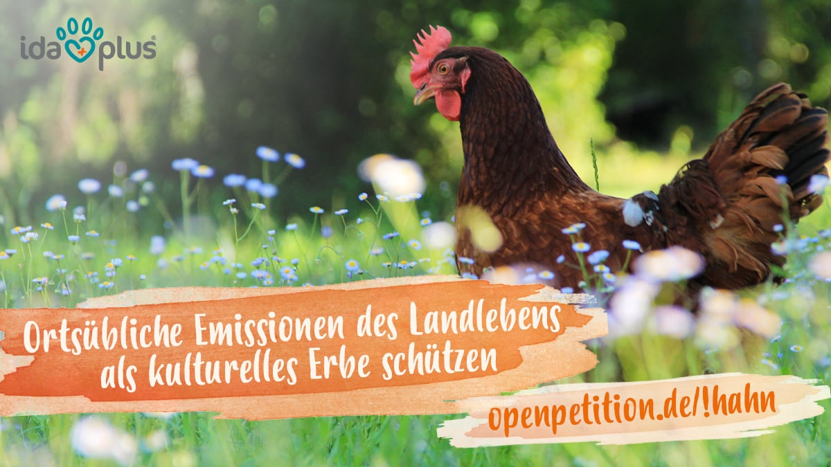 Petition Hahn Ein Hahn auf einem Feld. Daneben ist der Schriftzug: 'Ortsübliche Emissionen des Landlebens als kulturelles Erbe schützen'