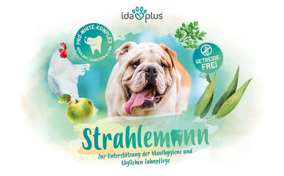 Strahlemann A+ Header Ein Hund schaut hechelt und schaut an der Kamera vorbei. Daneben steht: 'Strahlmann' 'Zur Unterstützung der Maulhygiene und täglichen Zahnpflege'
