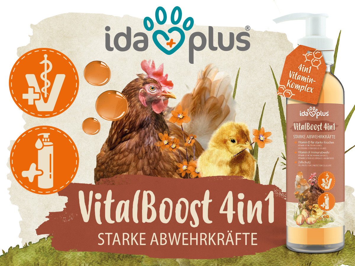 VitalBoost 4in 1 Starke Abwehrkräfte Schön gestaltetes Bild mit einer Pumpflasche und Tieren