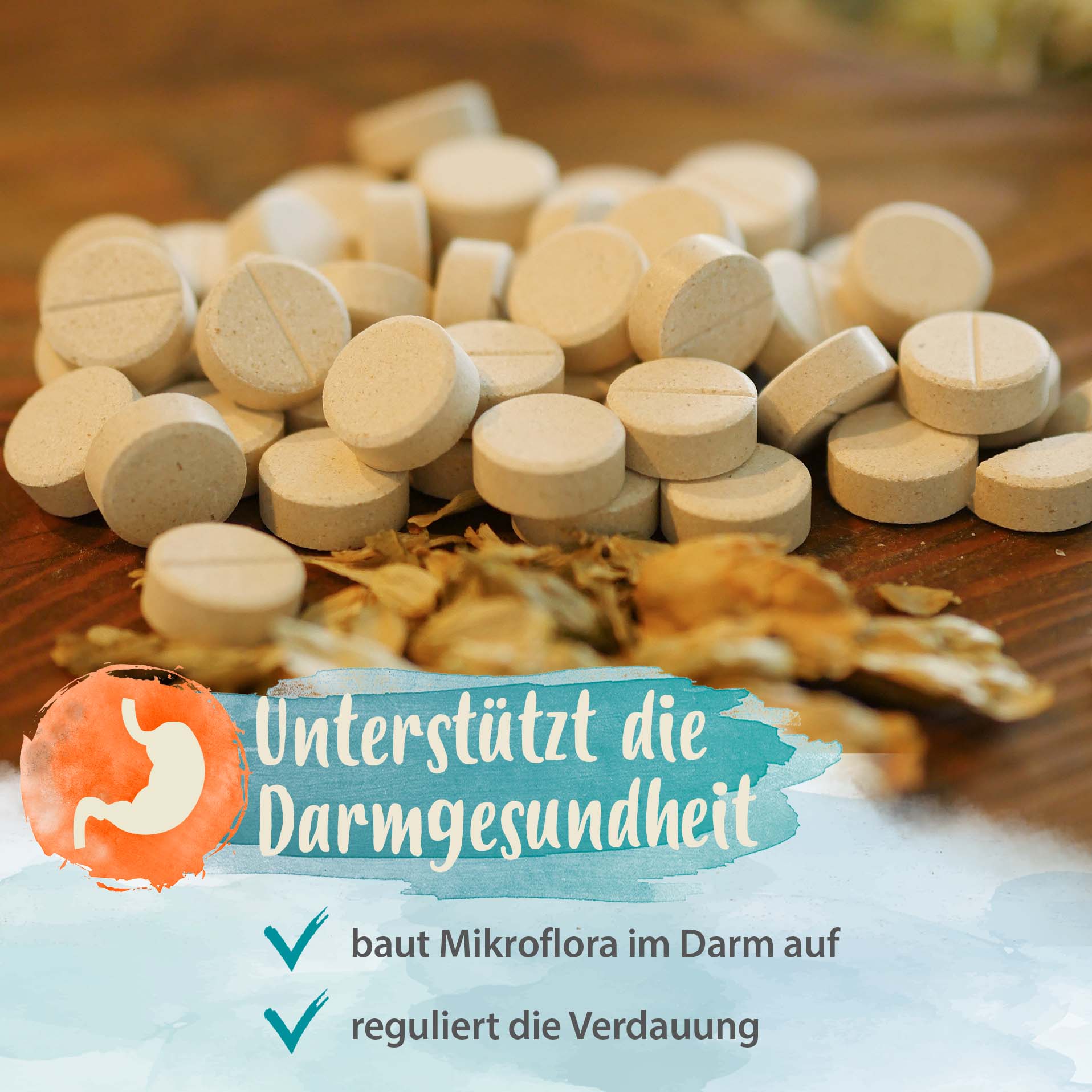 Darmbiotic - gesunde Darmbakterien - Probiotika zur Darmsanierung - 120 Stk. Darmbiotic - gesunde Darmbakterien - Probiotika zur Darmsanierung - 120 Stk.