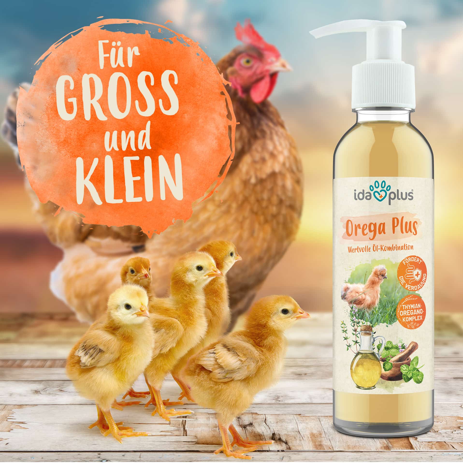 Oreag Plus - für groß und klein Von unserem Orega Plus profitieren sowohl ausgewachsene Hühner als auch Küken.