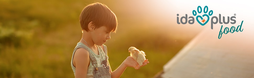 Header Küken Ein Küken sitzt auf der Hand eines Jungen.