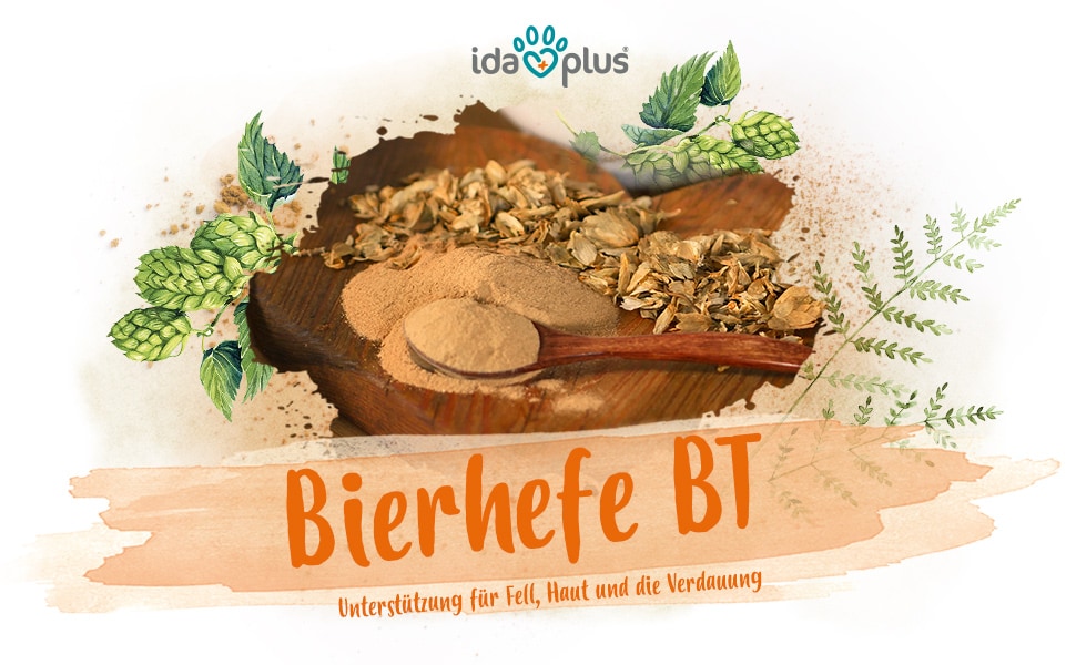 Bierhefe Pulver A+ Header Unverarbeitete Bierhefe und Bierhefepulver liegt auf einem Holzbrett. Darunter steht: 'Bierhefe Pulver' 'Unterstützung für Fell, Haut und Verdauung'