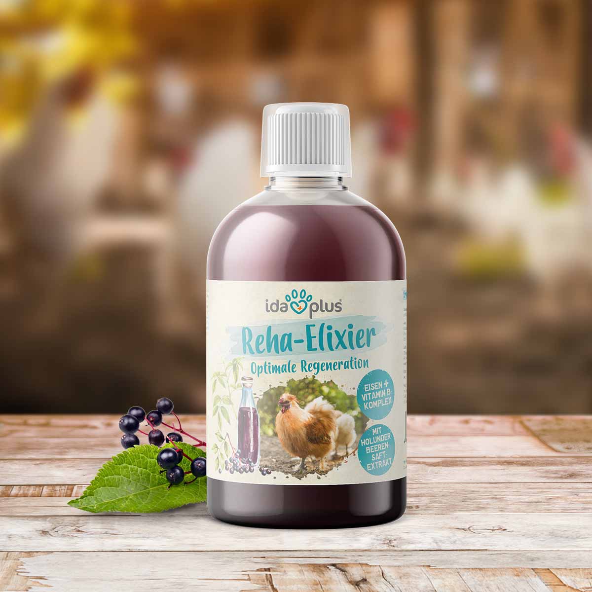 Eine Flasche Ida Plus Reha Elixier