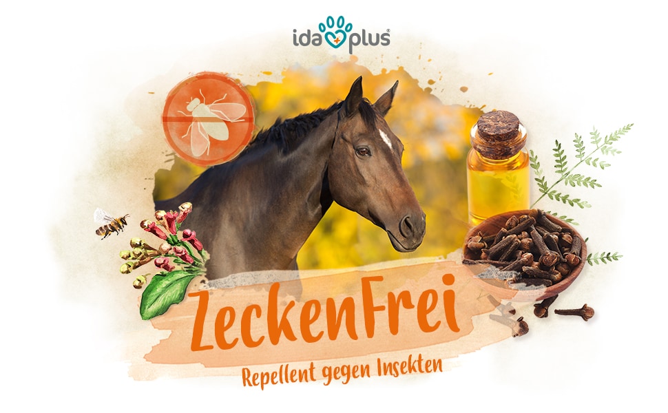 Zeckenfrei A+ Header Ein Pferd steht in der Sonne. Darunter steht: 'Zecken Frei' 'Repellent gegen Insekten'