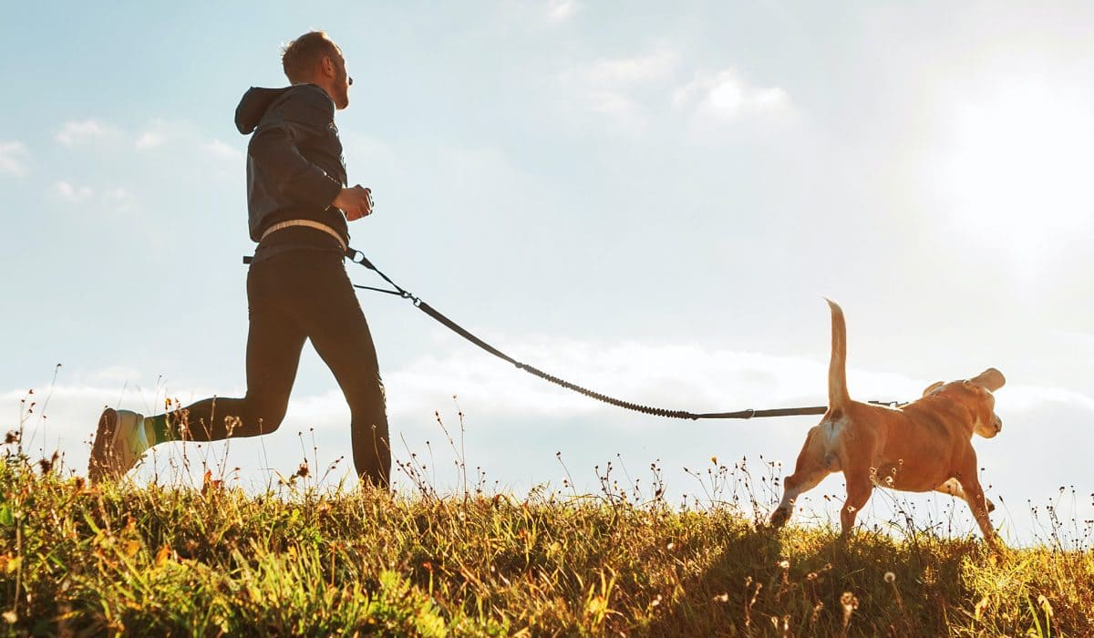 Joggen mit dem Hund Ein Hund geht mit seinem Herrchen zusammen Joggen.