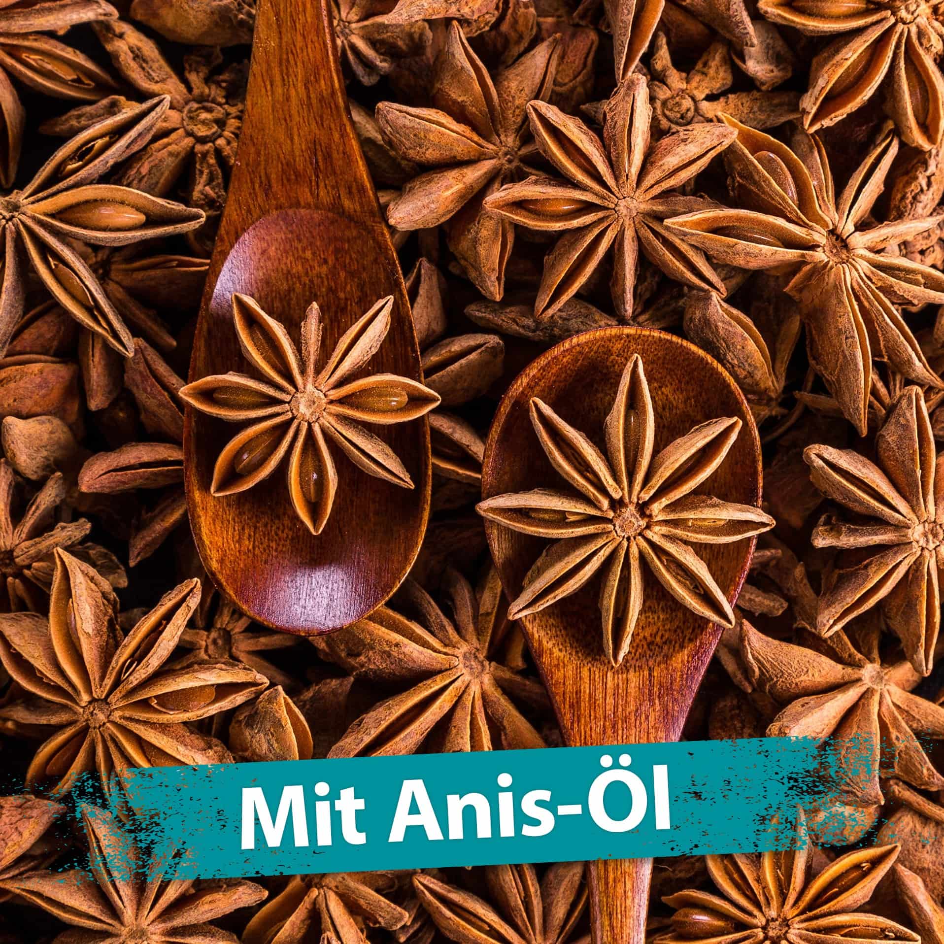 Anissterne Zwei Anissterne auf jeweils einem Holzlöffel. Im Hintergrund sind sehr viele Anissterne zu sehen.