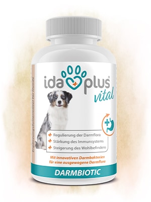 Darmbiotic Eine Dose Darmbiotic.
