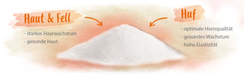 Biotin + Zink