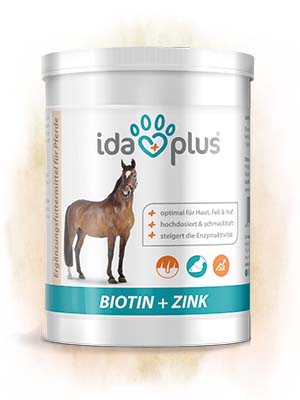 Biotin + Zink Eine 750 Gramm Dose Biotin + Zink