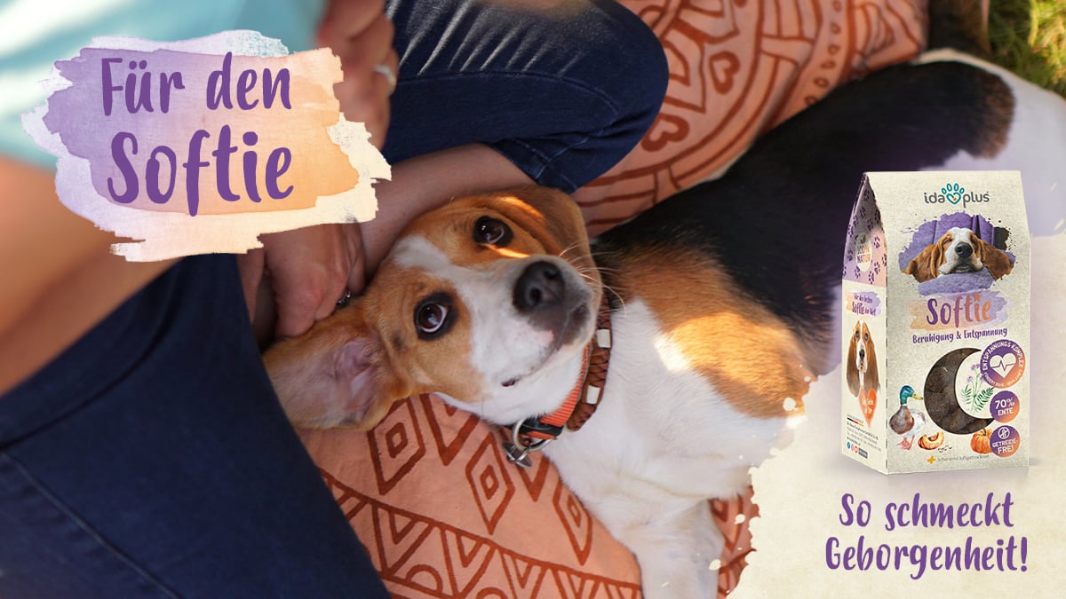 Für den Softie Ein Hund liegt mit dessen Besitzerin aufeine Decke und schaut verträumt nach oben. Daneben ist der Schriftzug: 'Für den Softie.' 'So schmeckt Geborgenheit.'