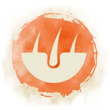 Fell Ein Symbol, welches Fell und Fellwurzeln darstellen.