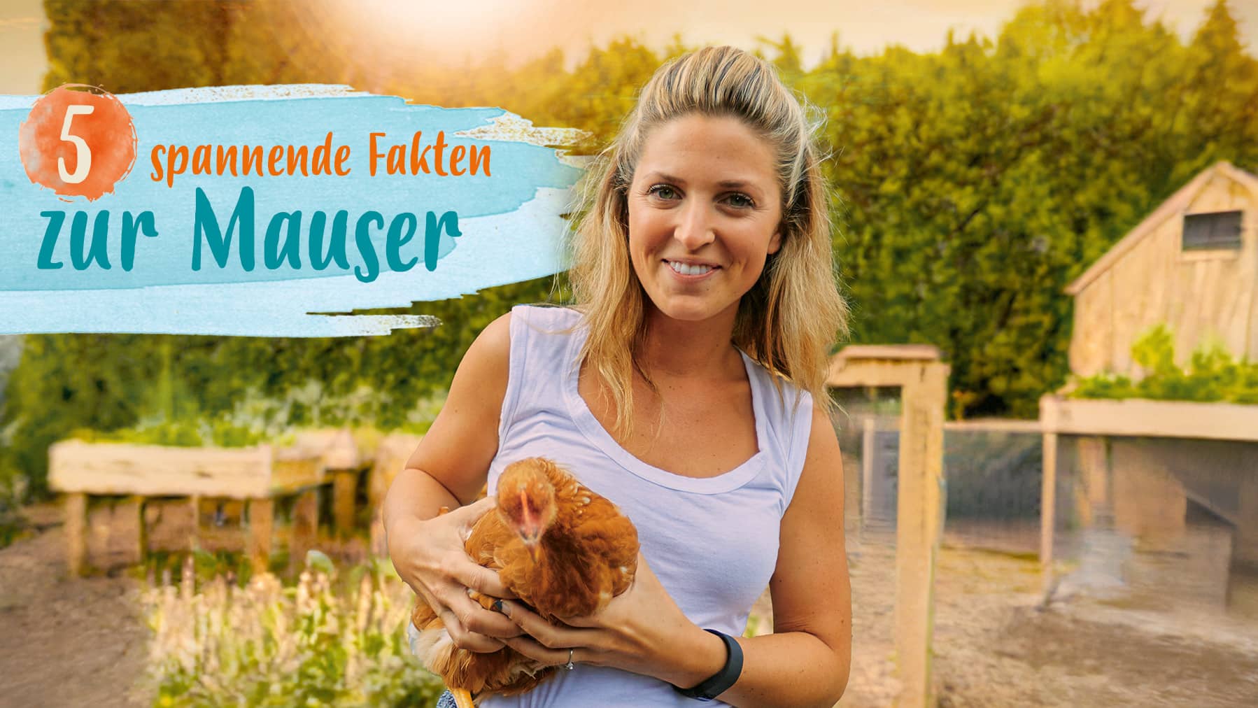 5 Fakten zu Mauser Ein Header für fünf spannende Fakten zur Mauser.