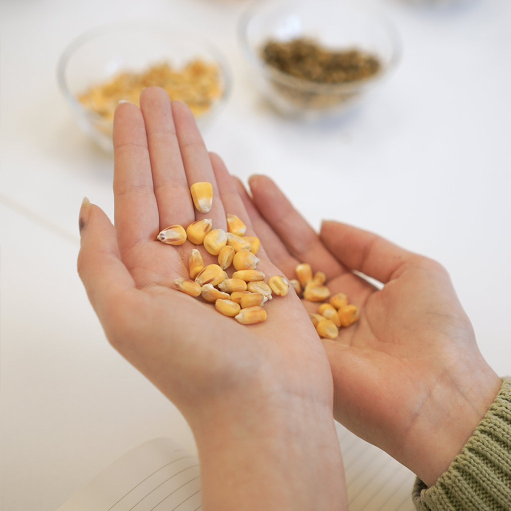 Produktanalyse 2 Genaue Qualitätsprüfung eines Produkts