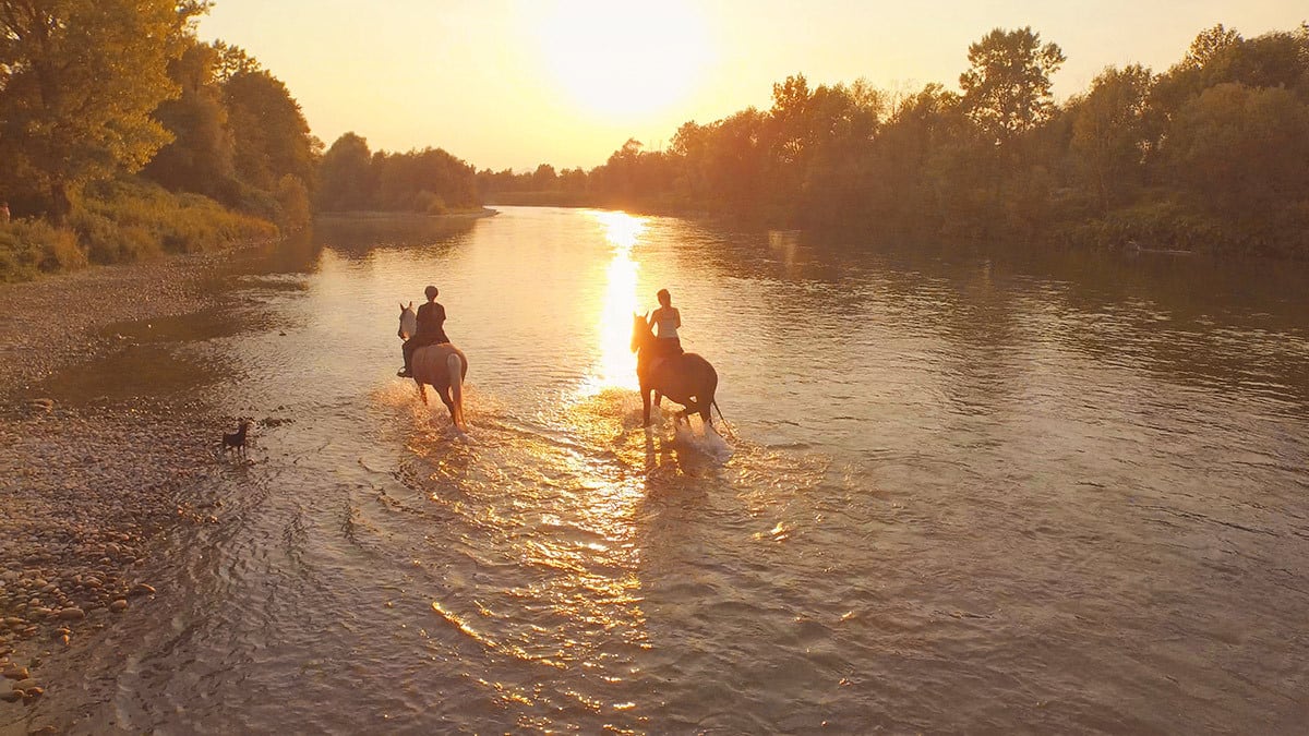 Durchs Wasser reiten Zwei Pferde werden durch das seichte Wasser eines Flusses geritten.