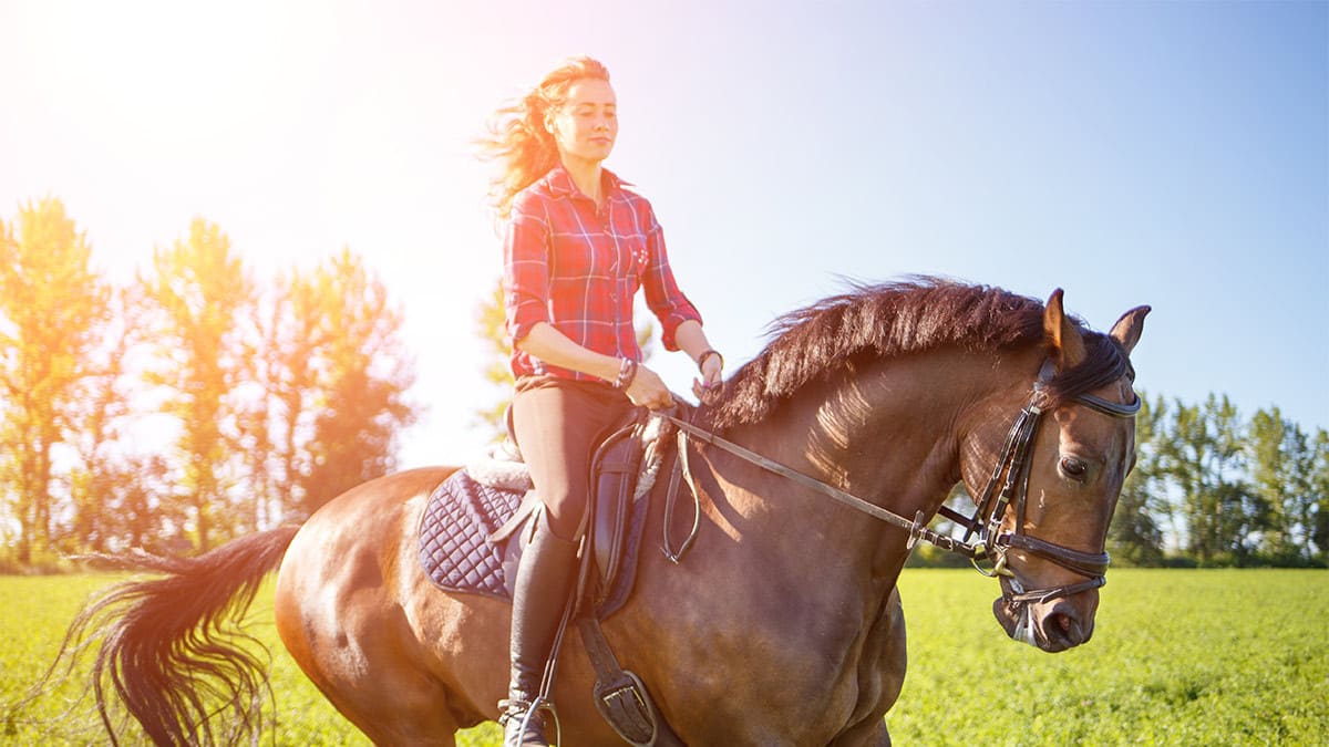 Reiten im Sonnenschein Eine Frau reitet auf ihrem Pferd, bei klarem Sonnenschein.