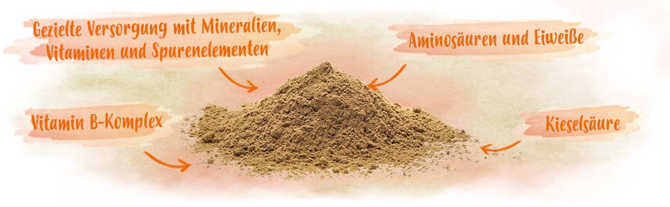 Mineralforte Eigenschaften Ein Haufen Mineralforte Pulver. Zu den Eigenschaften zählen eine gezielte Versorng mit Mineralien, Vitaminen und Spurenelementen. Außerdem sind Aminosäuren, Eiweiße, Kieselsäure und Vitamin B enthalten.