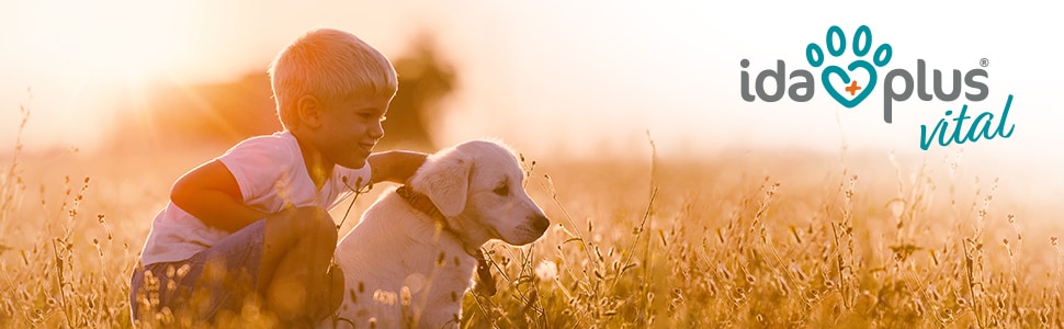 Header Hunde Ein Junge sitzt mit einem jungen Hund im hohen Gras eines Feldes.