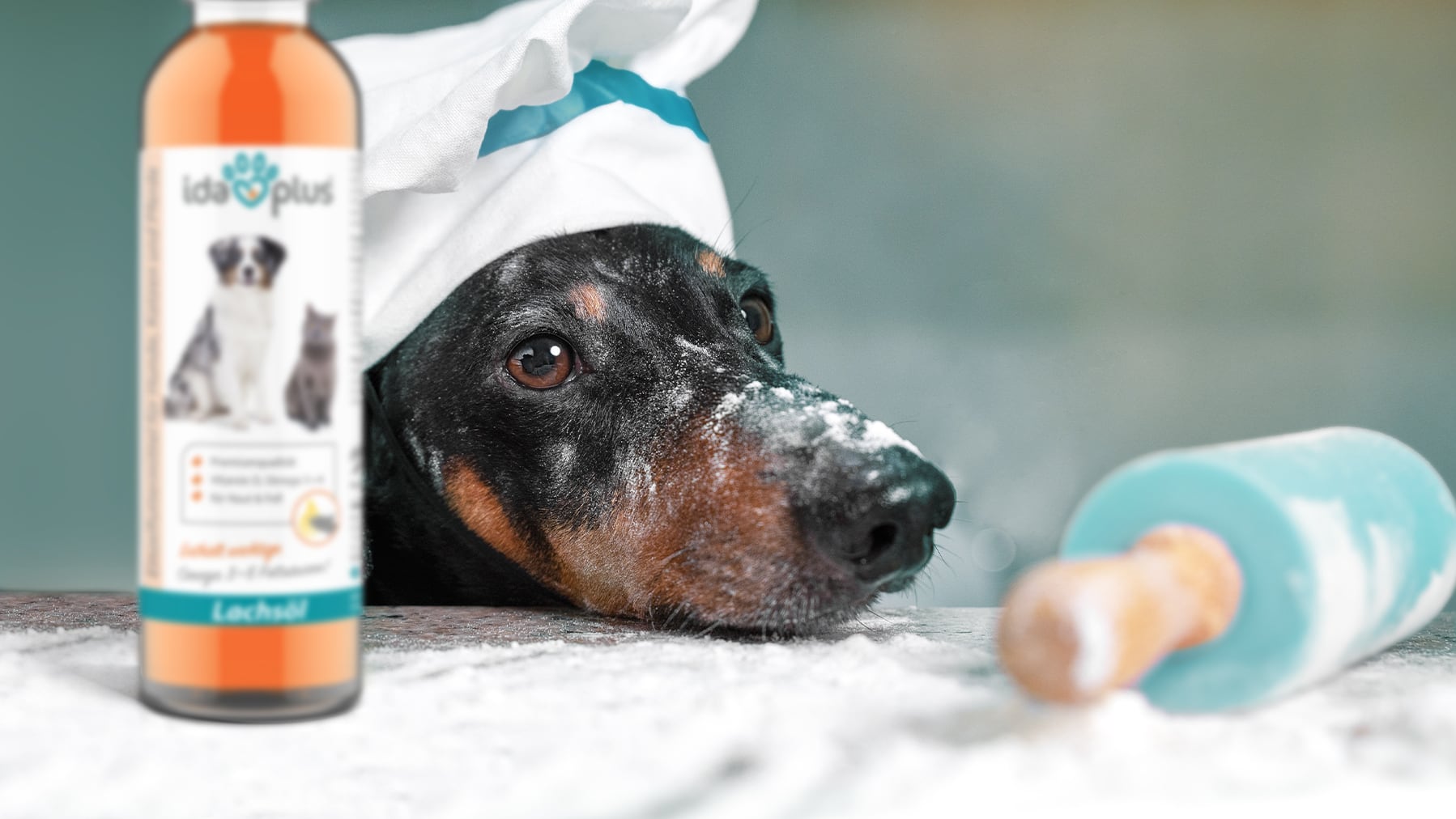 Nordic Cookies Ein Hund mit Kochmütze und Mehl an der Nase schaut auf einem Tisch. Auf dem Tisch steht eine Flasche Lachsöl und neben einem Nudelholz.