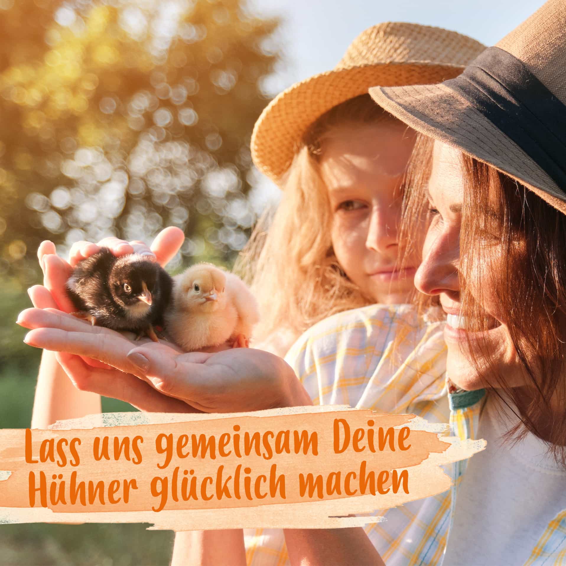 Lass uns deine Hühner glücklich machen Zwei Küken werden in der Sonne gestreichelt, darunter steht "lass uns gemeinsam deine Hühner glücklich machen"