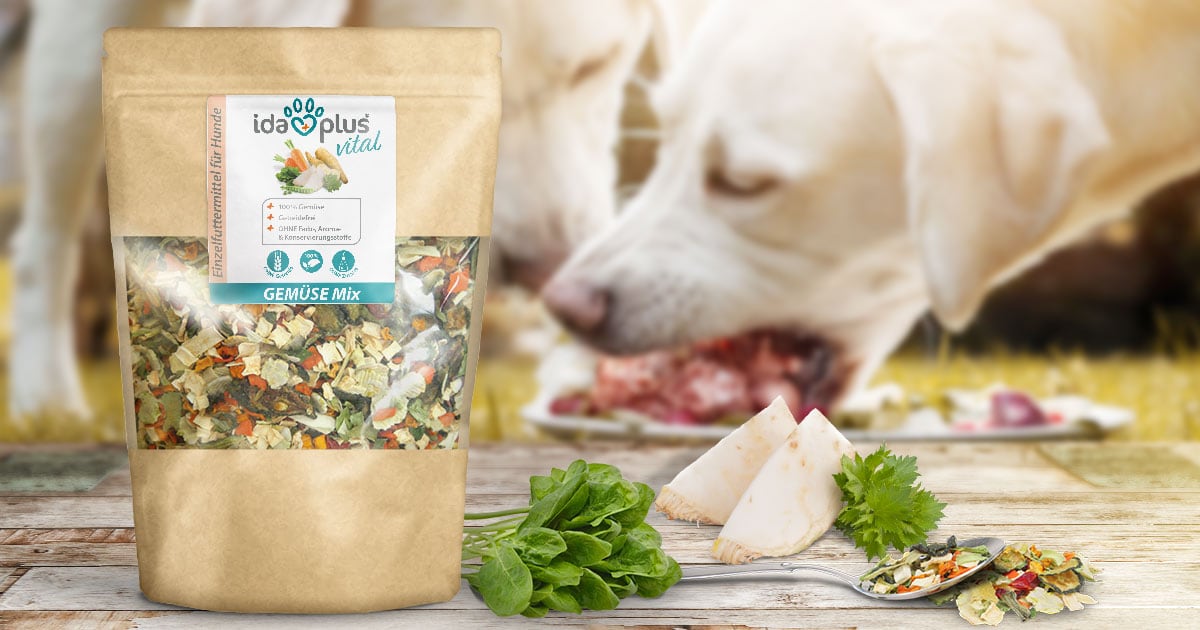 Barf Gemüse Mix Im Vordergrund steht ein Sack des Barf Gemüse Mixes. Im Hintergrund sieht man einen Hund eine Barf Mahlzeit fressen.