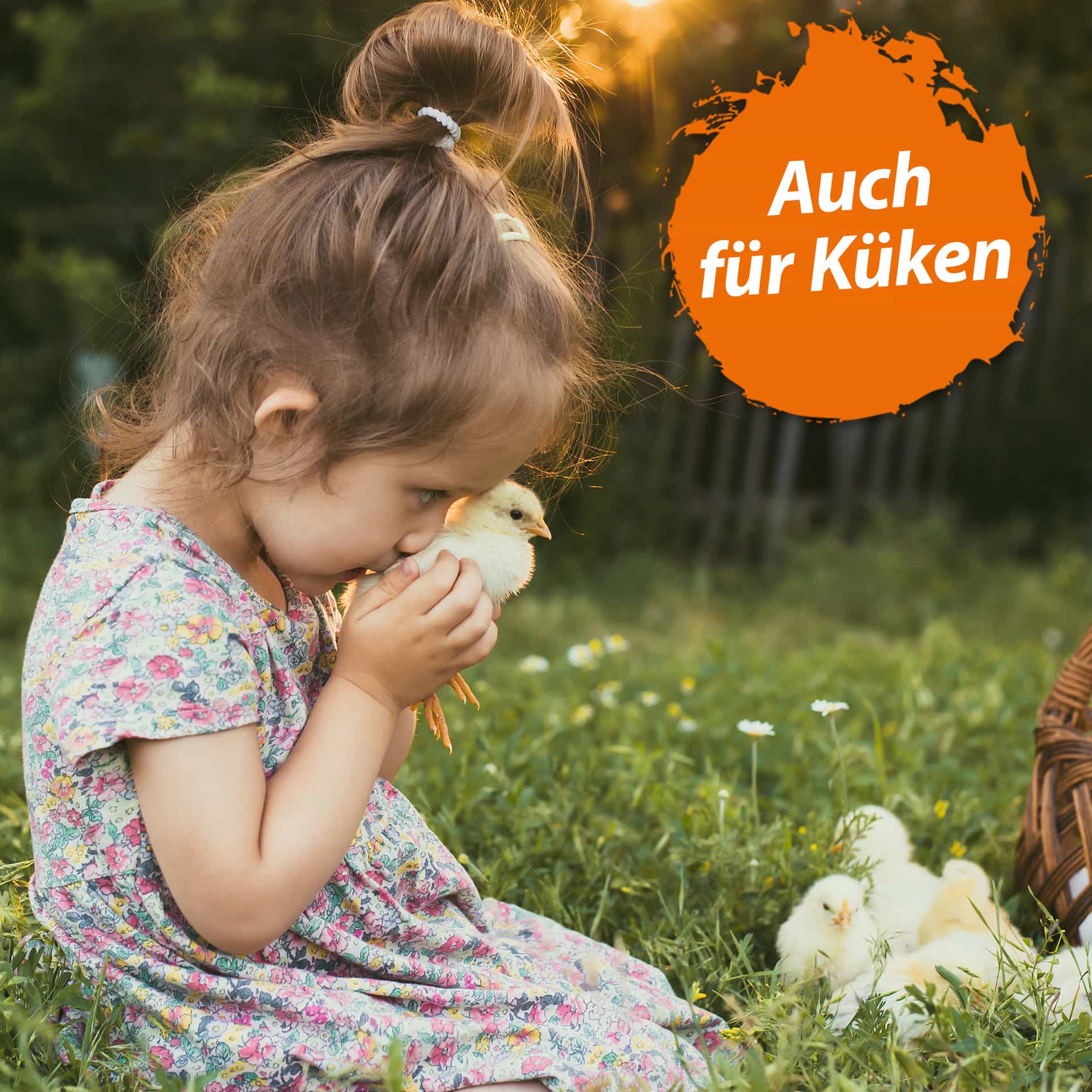 Küken und Kind Ein kleines Mädchen kuschelt mit einem Küken. Daneben steht 'Auch für Küken'