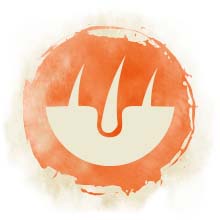 Fell Ein Symbol, welches Fell und Fellwurzeln darstellen.