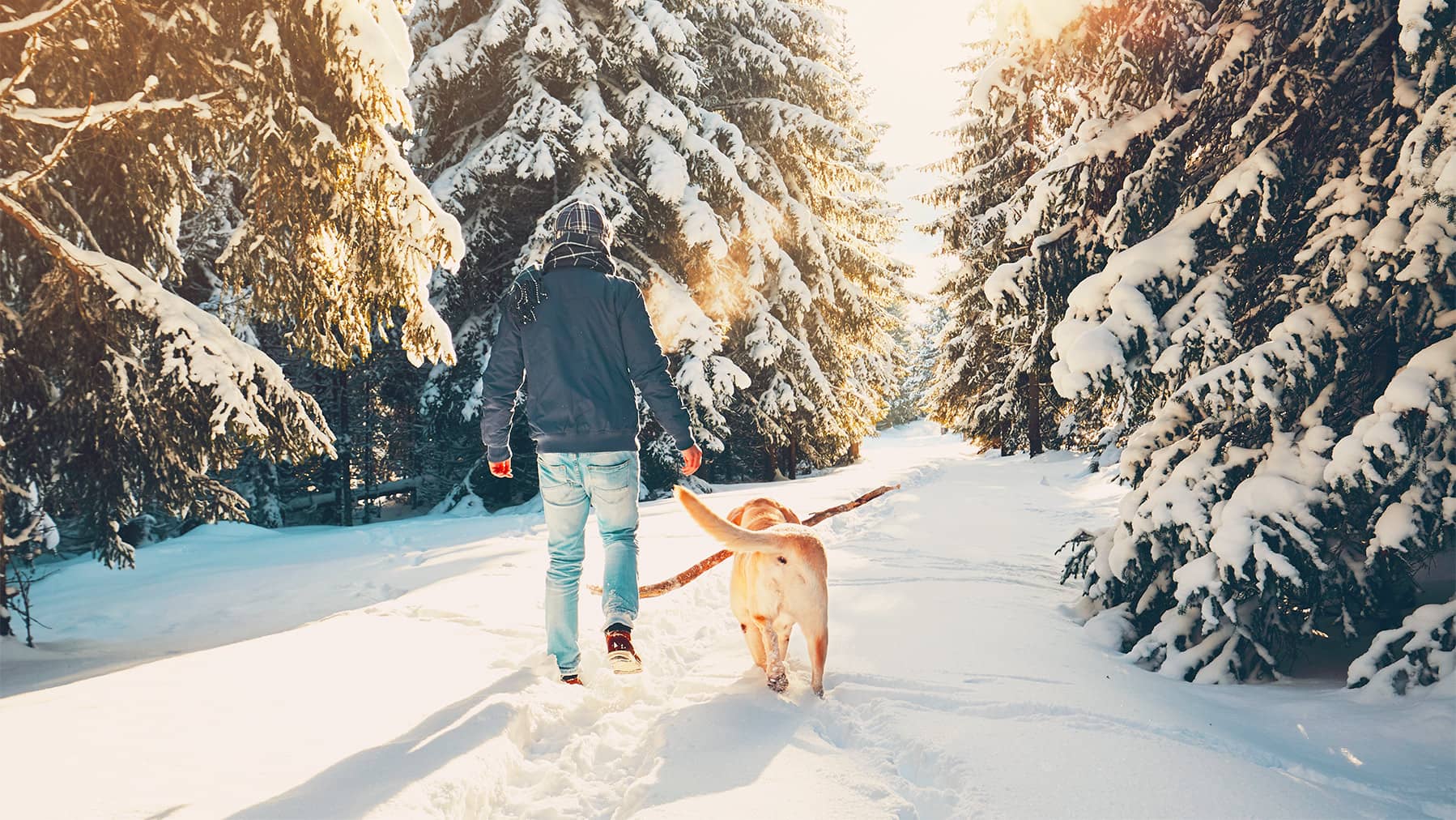 Hund und Herrchen im Schnee Ein Hund mit einem Stock im Maul läuft mit dessen Herrchen durch den Schnee.