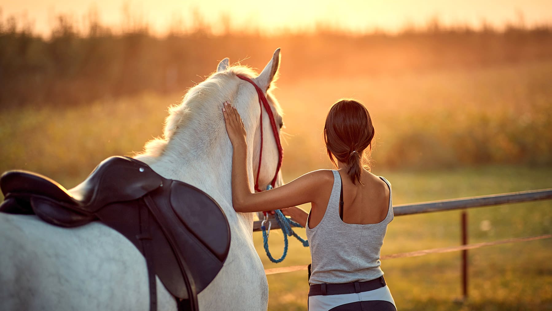 Pferd beim Sonnenuntergang Eine Frau und ihr Pferd beim Sonnenuntergang