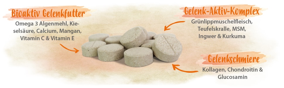 Gelenktabletten Plus + Eigenschaften Ein paar Gelenktabletten mit den Schriftzügen: 'Bioaktiv Gelenkfutter' 'Gelenk-Aktiv-Komplex' 'Gelenkschmiere'
