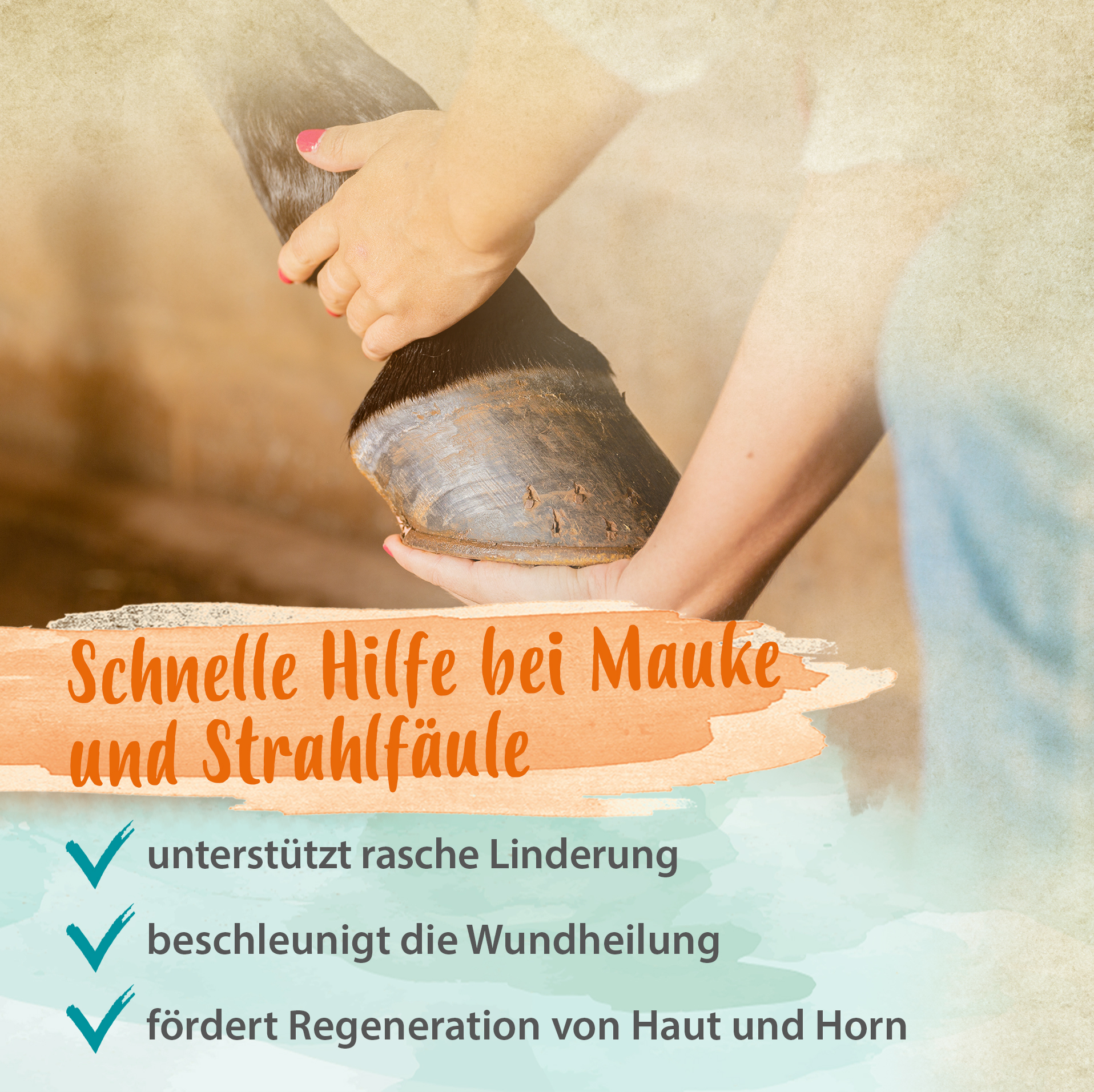 Mauke Spray für Pferde 200 ml - schnelle Hilfe bei Mauke, Strahlfäule & Ekzemen