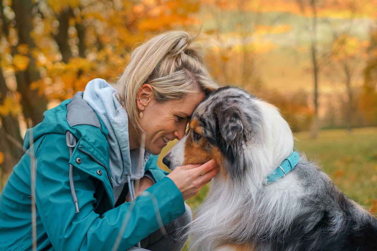 Aussie Pirat Eine Frau kuschelt ihren Hund auf einer Wiese.