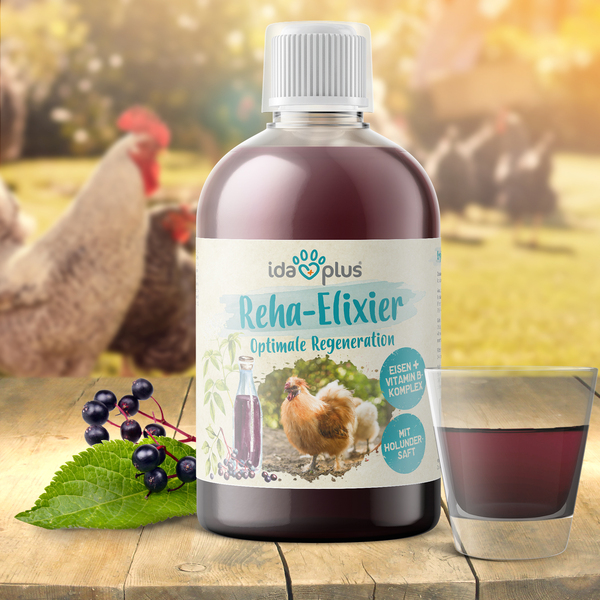 Reha-Elixier – zur Fütterung nach Anti Milben & Wurmkur Behandlung - 500ml Reha-Elixier – zur Fütterung nach Anti Milben & Wurmkur Behandlung - 500ml