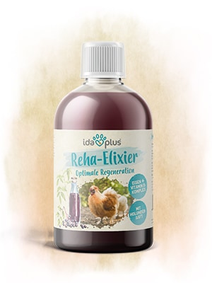 Reha-Elixier Eine 500 Milliliter Flasche Reha-Elixier