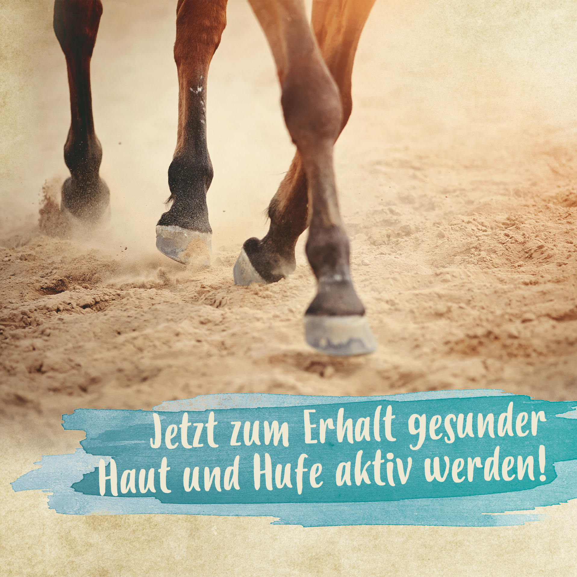 Mauke Spray für Pferde 200 ml - schnelle Hilfe bei Mauke, Strahlfäule & Ekzemen