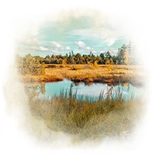 Schweriner Hochmoor Ein Bild des Schweriner Hochmoors
