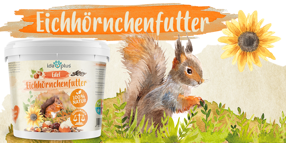 Eichhrnchenfutter Blogbeitrag