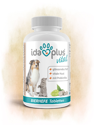 Bierhefe Tabletten Eine Dose Bierhefe Tabletten.