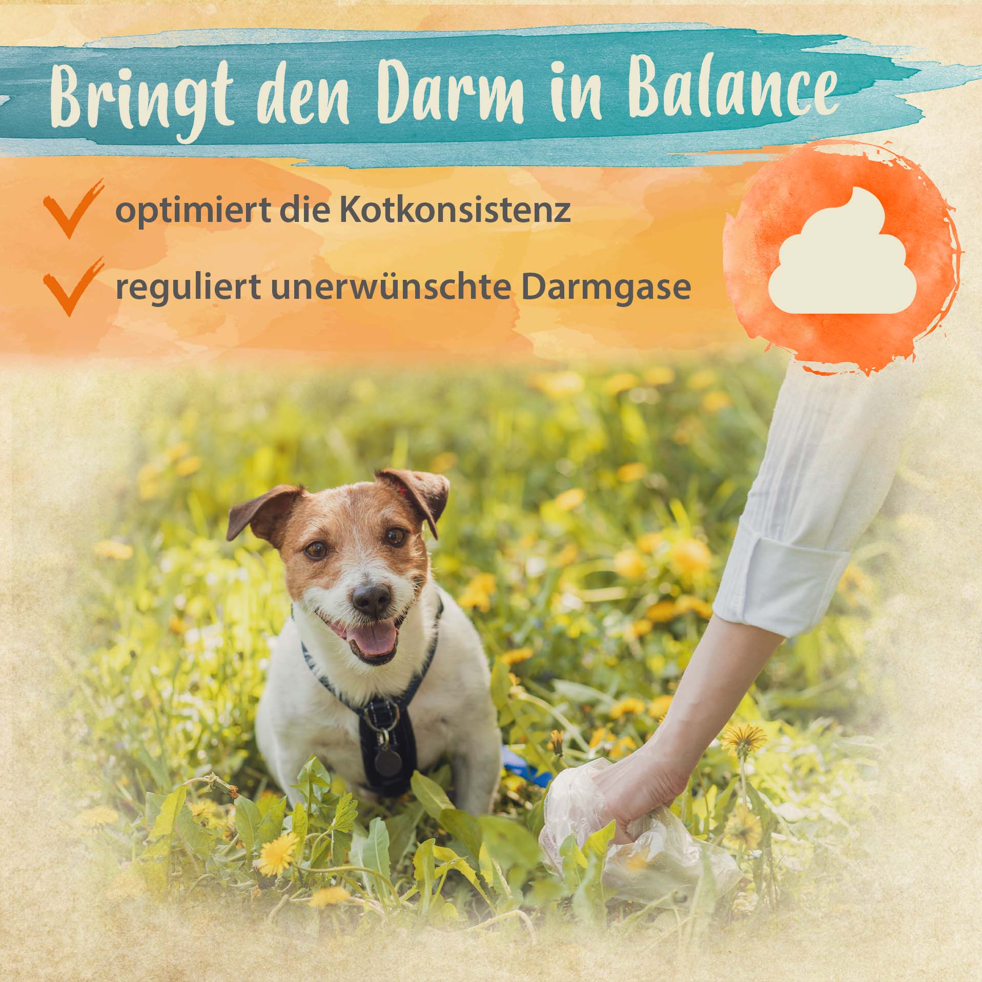 Darmbiotic - gesunde Darmbakterien - Probiotika zur Darmsanierung - 120 Stk. Darmbiotic - gesunde Darmbakterien - Probiotika zur Darmsanierung - 120 Stk.