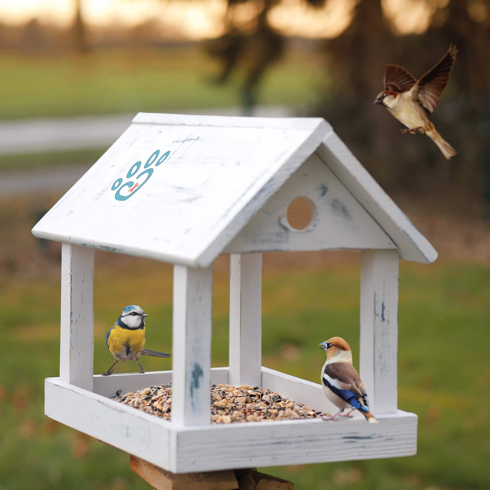 Ida Plus Vogelhaus Ein Vogelhaus mit dem Ida Plus Logo, welches mit dem Vogelstreufutter gefüllt ist.