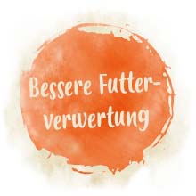 Bessere Futterverwertung Ein Symbol mit der Aufschrift 'Bessere Futterverwertung'