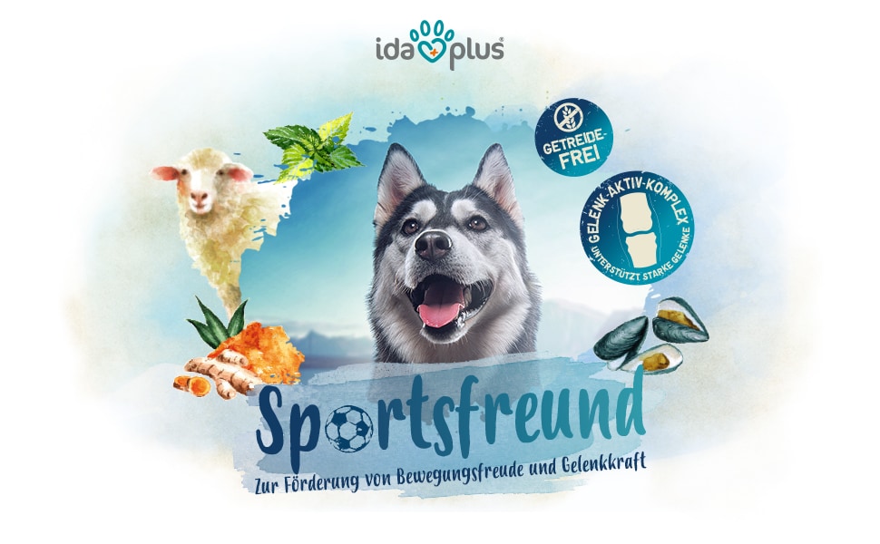 Sportsfreund A+ Header Ein Huskie shaut gespannt an der Kamera vorbei. Darunter steht: 'Sportsfreund' 'Zur Förderung von Bewegungsfreude und Gelenkkraft'