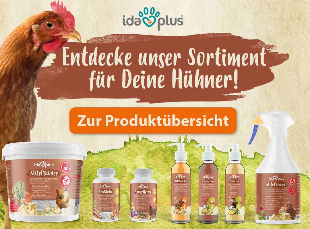 Entdecke unser Sortiment für Deine Hühner. Mit Klick auf das Bild gelangt man auf die Übersicht der Ida Plus Produkte