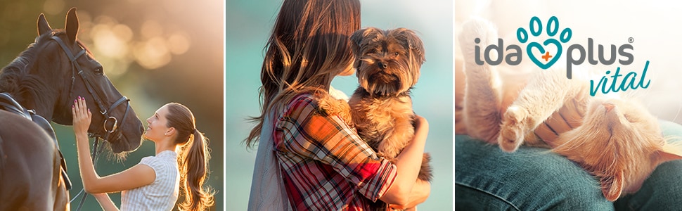 Header Hund, Katze, Pferd Ein Header bestehend aus einer Frau die ihr Pferd streichelt, einer Frau die ihren Hund auf den Arm hält und eine Katze die es sich auf dem Schoß gemütlich macht.