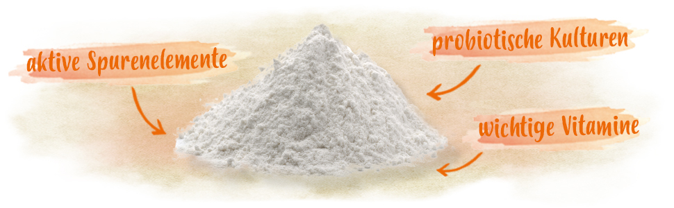 Kükenbooster Eigenschaften Ein Haufen Kükenbooster Pulver. Daneben steht, dass es aktive Spurenelemente und probiotische Kulturen enthält. Außerdem sind wichtige Vitamine enthalten.